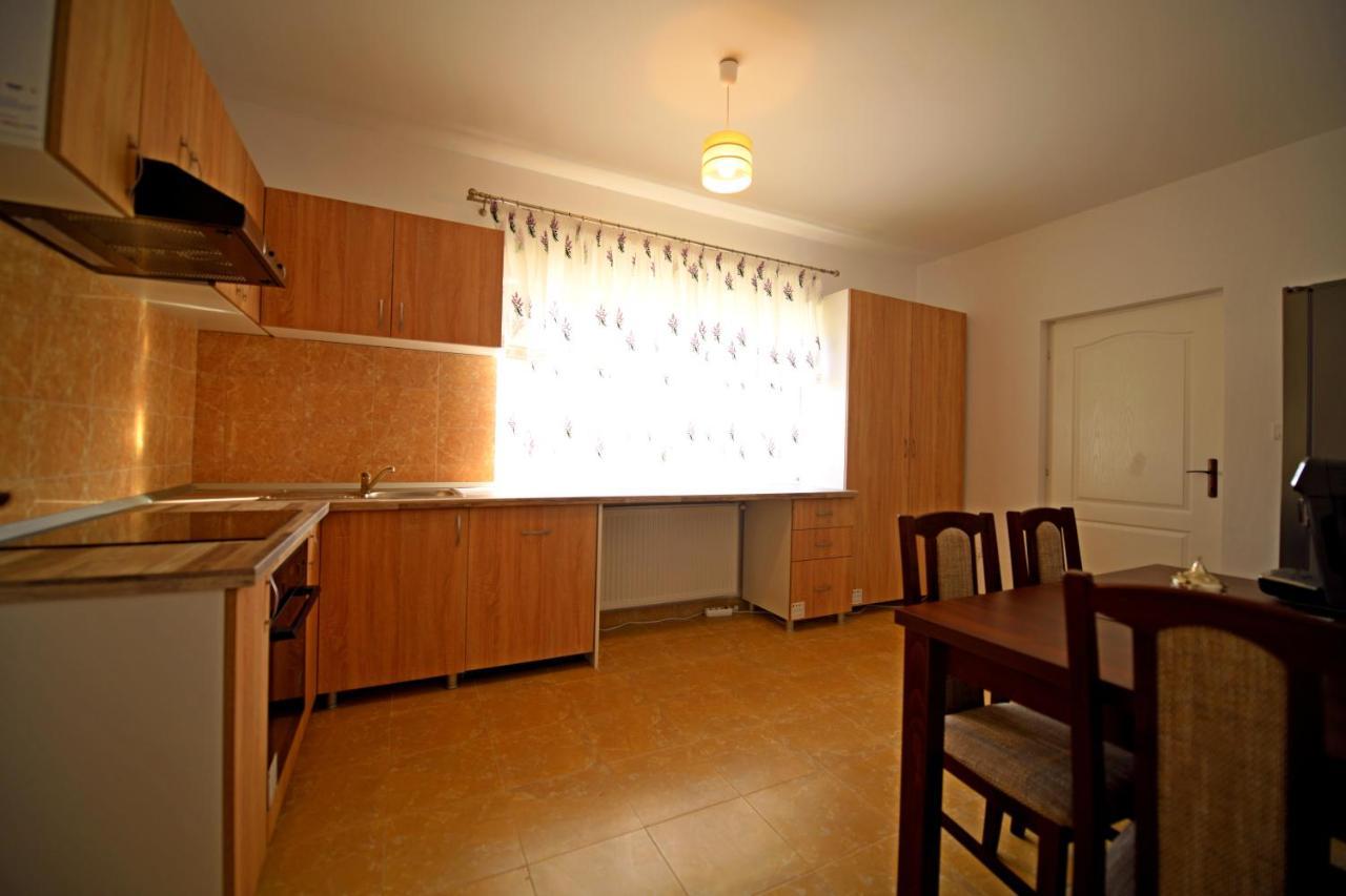 Pensiunea Hera Haţeg Esterno foto